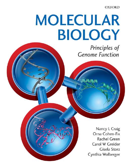 Molecular Biology: Principles of Genome Function by Nancy Craig Rachel Green Carol Greider Gisela Storz Cynthia Wolberger Orna Cohen-Fix