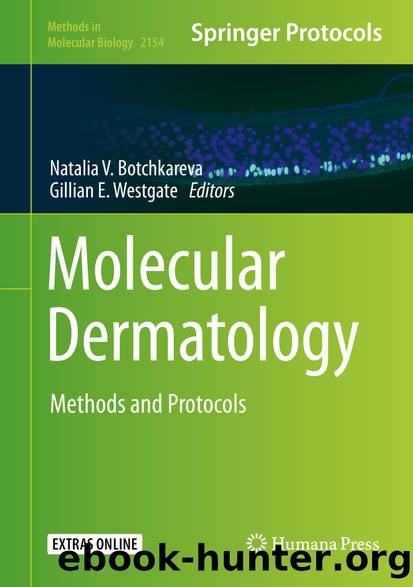 Molecular Dermatology by Unknown