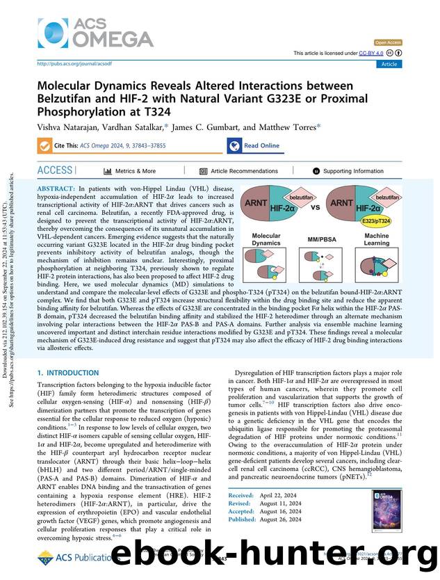 Molecular Dynamics Reveals Altered Interactions between Belzutifan and HIF-2 with Natural Variant G323E or Proximal Phosphorylation at T324 by Vishva Natarajan Vardhan Satalkar James C. Gumbart & Matthew Torres