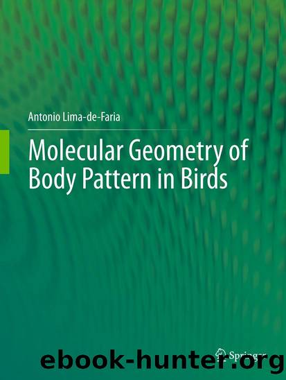 Molecular Geometry of Body Pattern in Birds by Antonio Lima-de-Faria