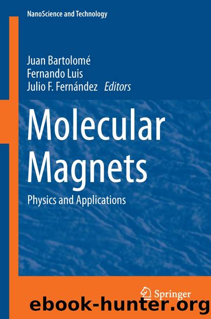 Molecular Magnets by Juan Bartolomé Fernando Luis & Julio F. Fernández