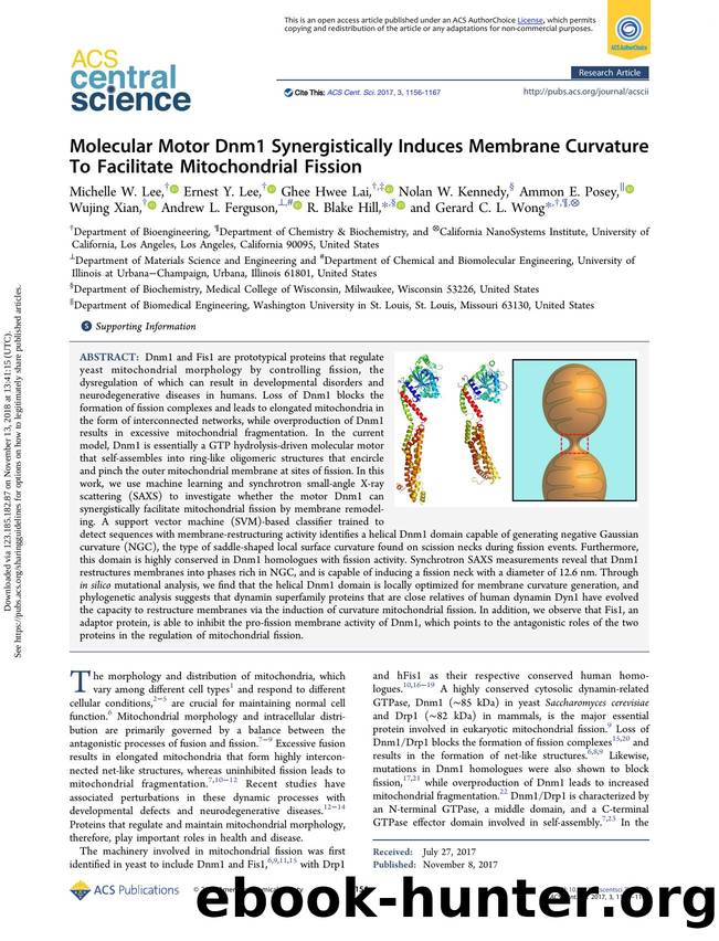 Molecular Motor Dnm1 Synergistically Induces Membrane Curvature To Facilitate Mitochondrial Fission by unknow