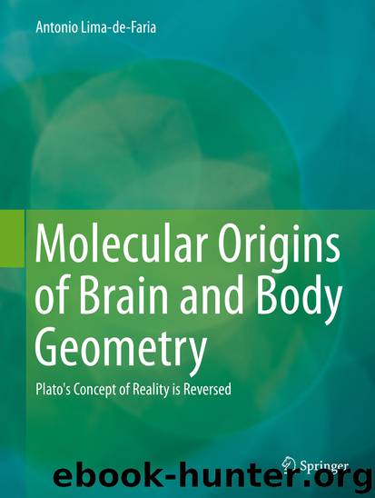 Molecular Origins of Brain and Body Geometry by Antonio Lima-de-Faria