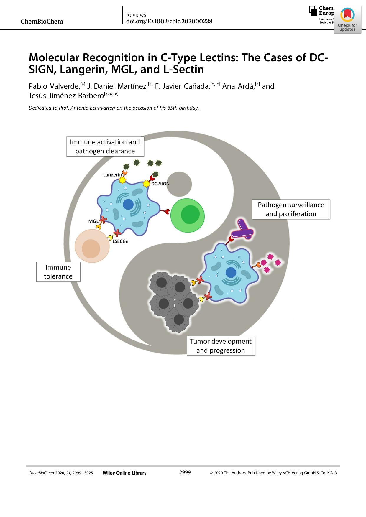 Molecular Recognition in CâType Lectins: The Cases of DCâSIGN, Langerin, MGL, and LâSectin by Unknown