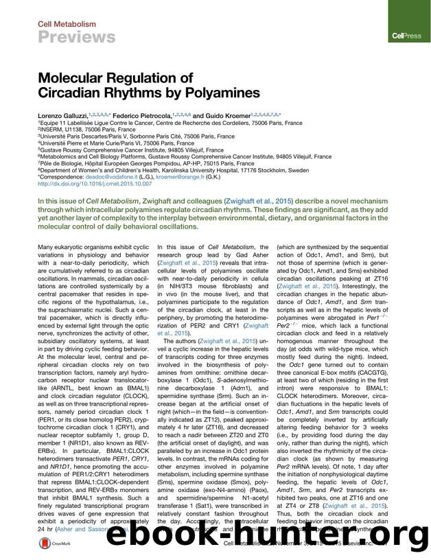 Molecular Regulation of Circadian Rhythms by Polyamines by Lorenzo Galluzzi & Federico Pietrocola & Guido Kroemer
