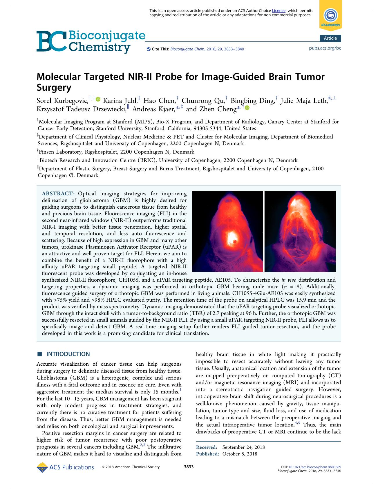 Molecular Targeted NIR-II Probe for Image-Guided Brain Tumor Surgery by unknow
