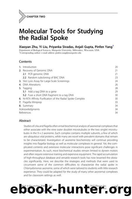 Molecular Tools for Studying the Radial Spoke by Xiaoyan Zhu & Yi Liu & Priyanka Sivadas & Anjali Gupta & Pinfen Yang