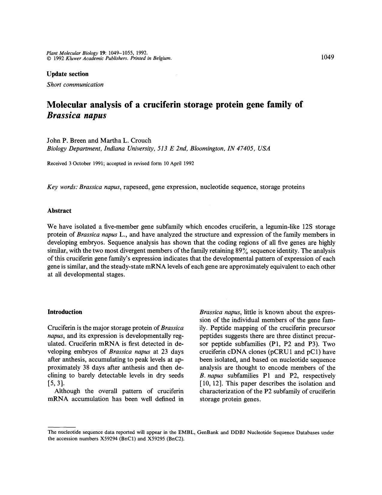 Molecular analysis of a cruciferin storage protein gene family of <Emphasis Type="Italic">Brassica napus<Emphasis> by Unknown