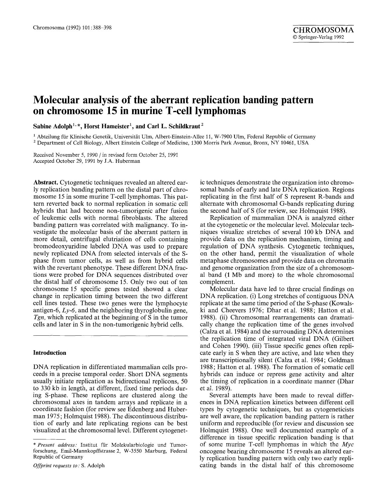 Molecular analysis of the aberrant replication banding pattern on chromosome 15 in murine T-cell lymphomas by Unknown