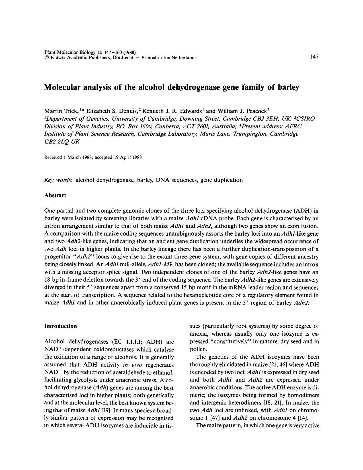 Molecular analysis of the alcohol dehydrogenase gene family of barley by Unknown