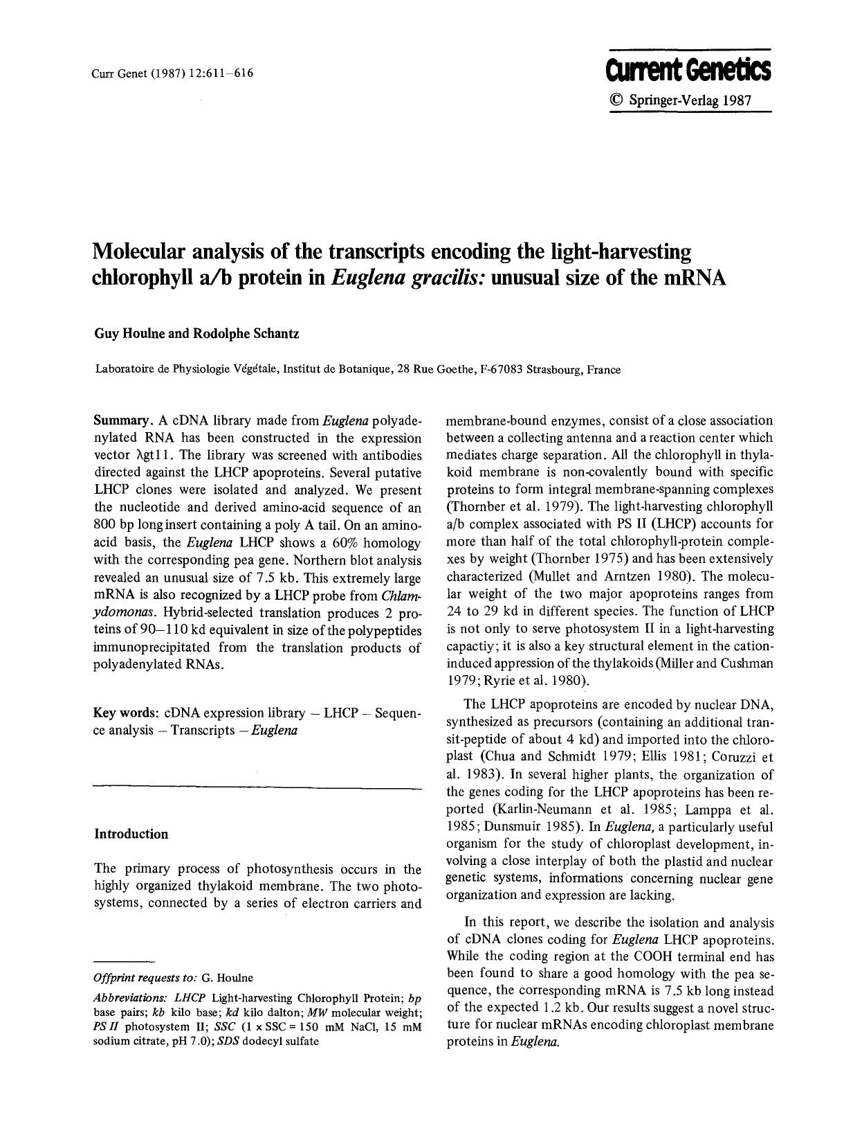 Molecular analysis of the transcripts encoding the light-harvesting chlorophyll ab protein in <Emphasis Type="Italic">Euglena gracilis<Emphasis>: unusual size of the mRNA by Unknown