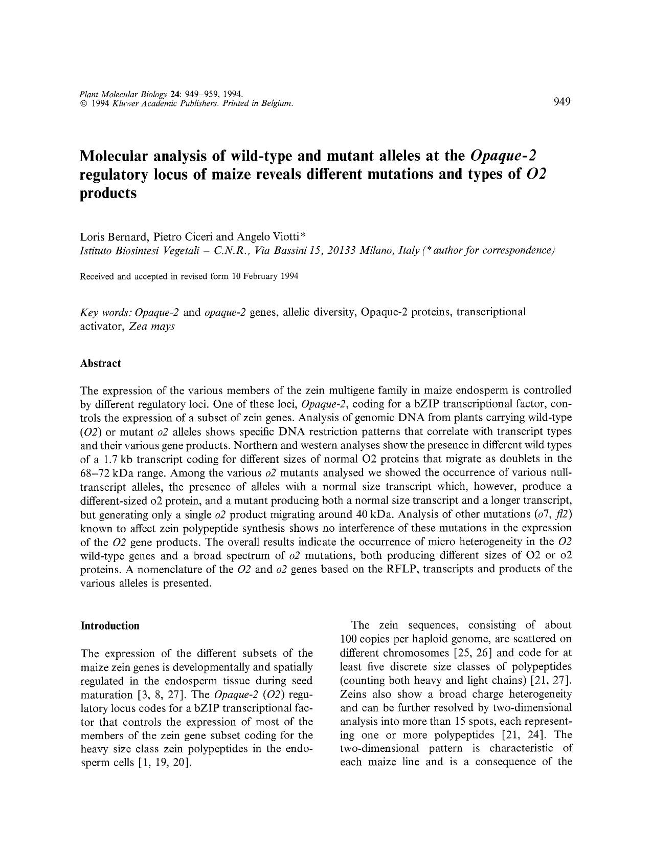 Molecular analysis of wild-type and mutant alleles at the <Emphasis Type="Italic">Opaque-2 <Emphasis> regulatory locus of maize reveals different mutations and types of <Emphasis by Unknown
