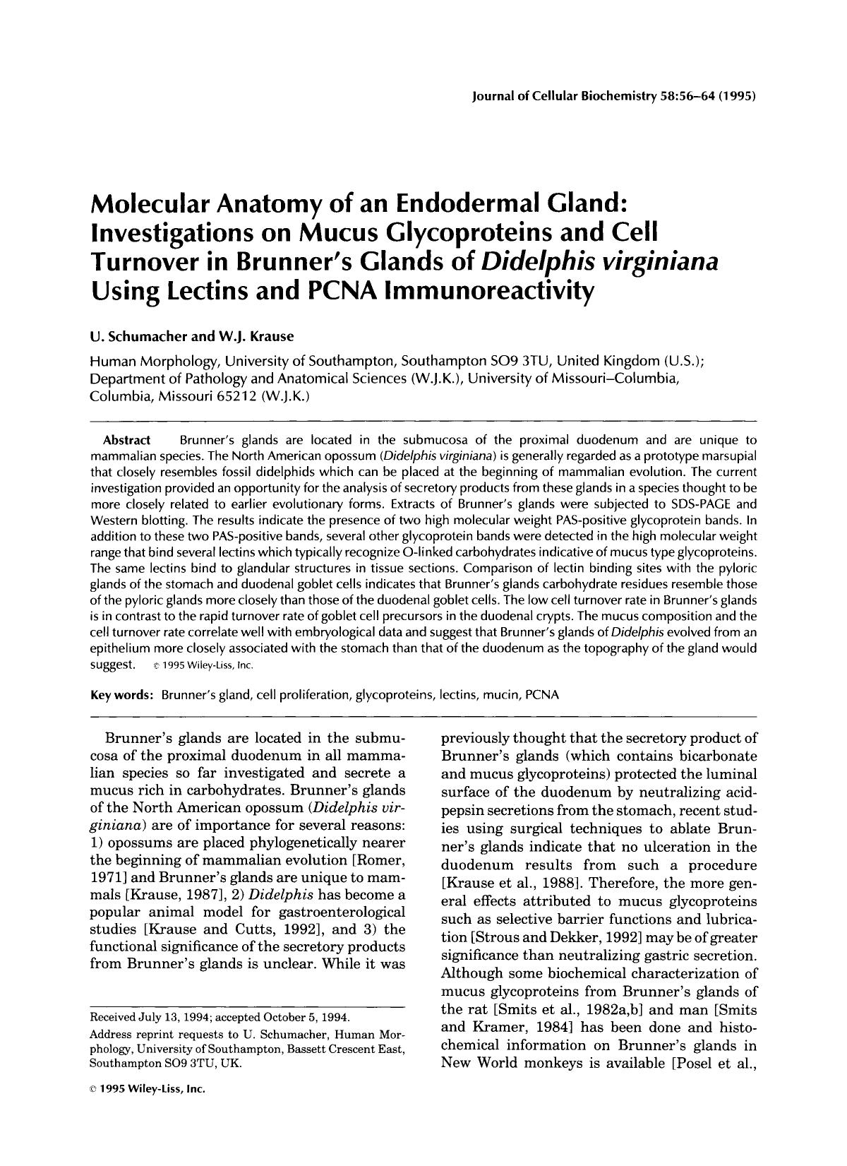 Molecular anatomy of an endodermal gland: Investigations on mucus glycoproteins and cell turnover in Brunner's glands of didelphis verginiana using lectins and PCNA immunoreactivity by Unknown