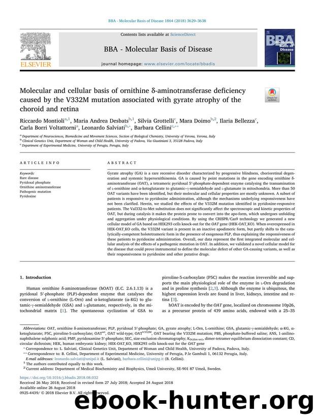 Molecular and cellular basis of ornithine Î´-aminotransferase deficiency caused by the V332M mutation associated with gyrate atrophy of the choroid and retina by unknow