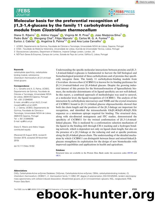 Molecular basis for the preferential recognition of Î²1,3â1,4âglucans by the family 11 carbohydrateâbinding module from ClostridiumÂ thermocellum by Unknown