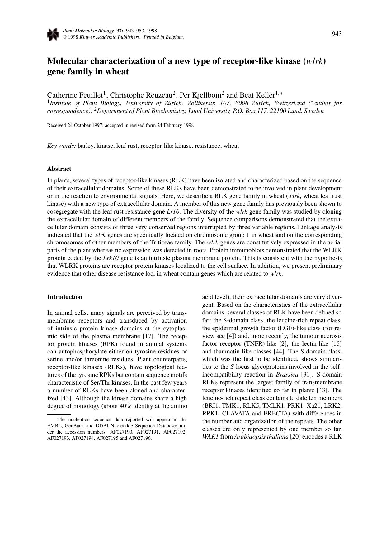 Molecular characterization of a new type of receptor-like kinase (wlrk) gene family in wheat by Unknown
