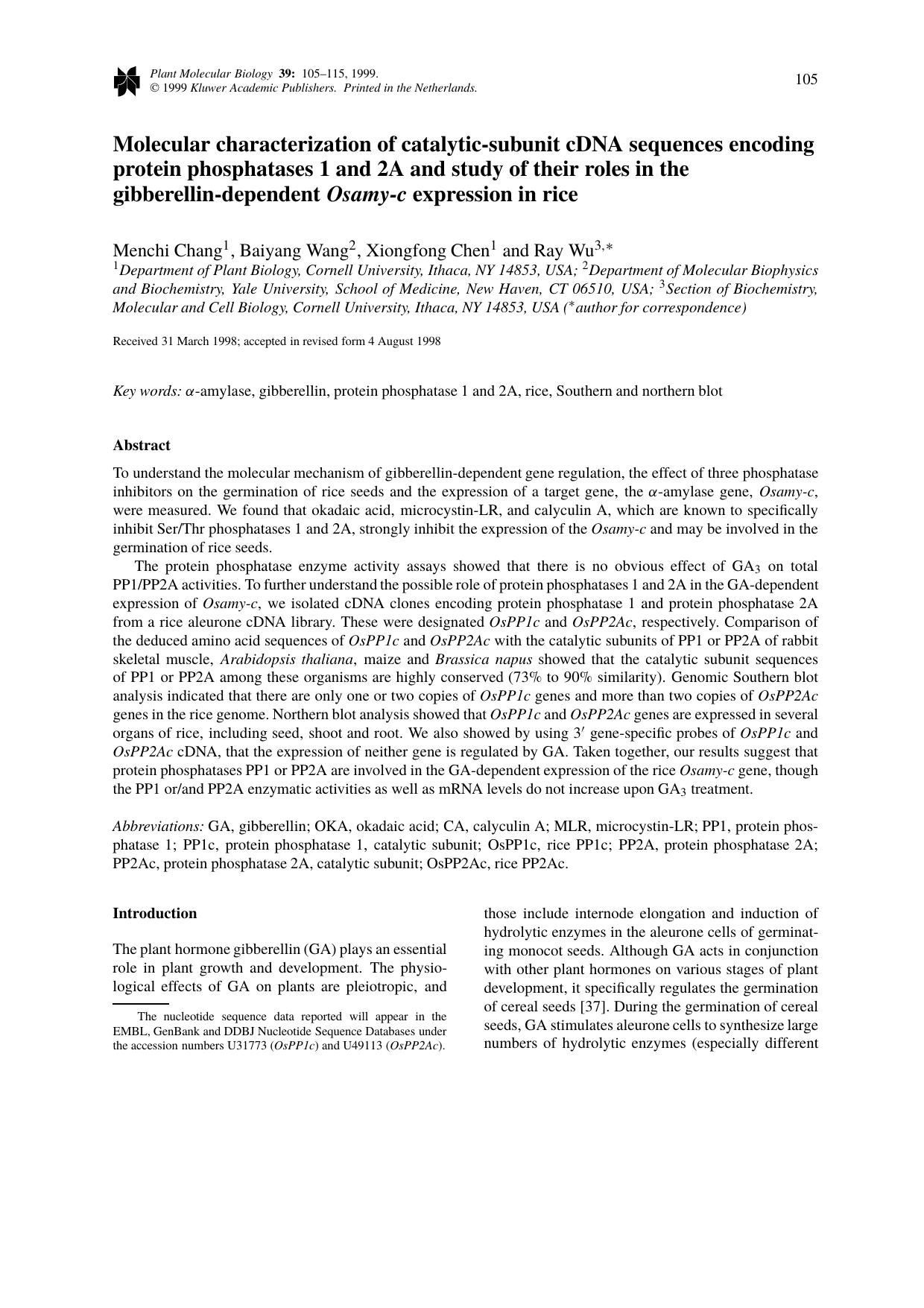 Molecular characterization of catalytic-subunit cDNA sequences encoding protein phosphatases 1 and 2A and study of their roles in the gibberellin-dependent Osamy-c expression in rice by Unknown
