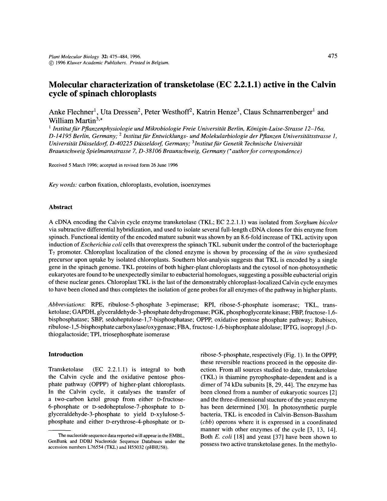 Molecular characterization of transketolase (EC 2.2.1.1) active in the Calvin cycle of spinach chloroplasts by Unknown