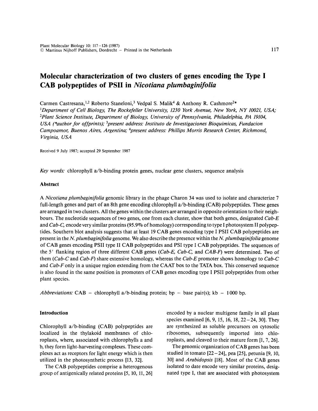 Molecular characterization of two clusters of genes encoding the Type I CAB polypeptides of PSII in <Emphasis Type="Italic">Nicotiana plumbaginifolia<Emphasis> by Unknown