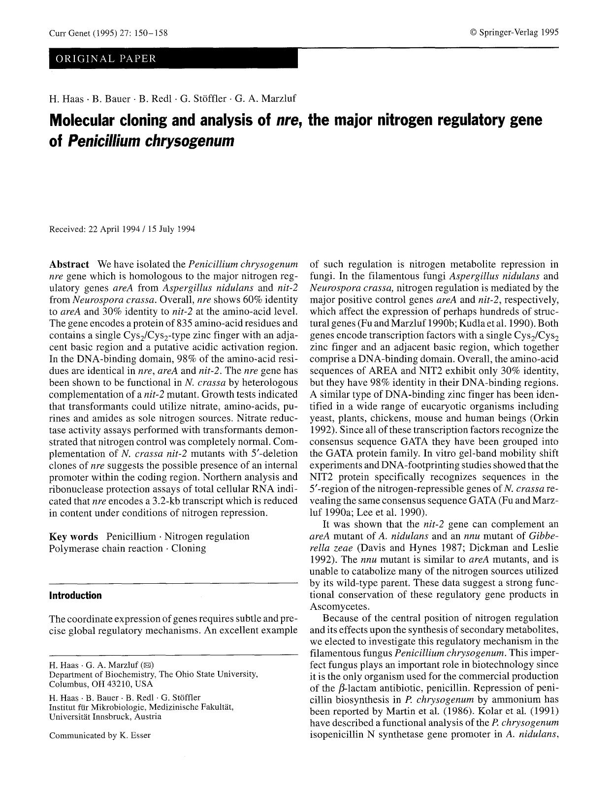 Molecular cloning and analysis of <Emphasis Type="Italic">nre<Emphasis>, the major nitrogen regulatory gene of <Emphasis Type="Italic">Penicillium chrysogenum<Emphasis> by Unknown