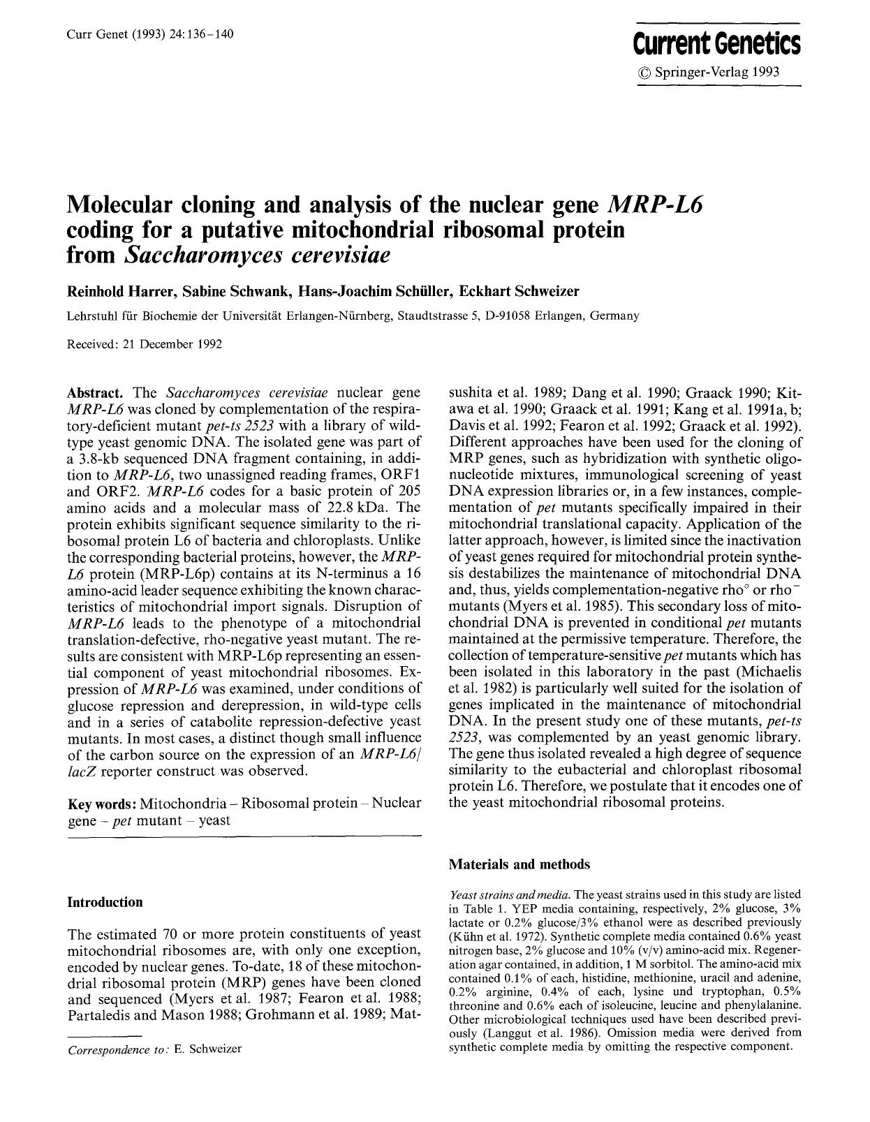 Molecular cloning and analysis of the nuclear gene <Emphasis Type="Italic">MRP-L6<Emphasis> coding for a putative mitochondrial ribosomal protein from <Emphasis Type="Italic">Sacch by Unknown