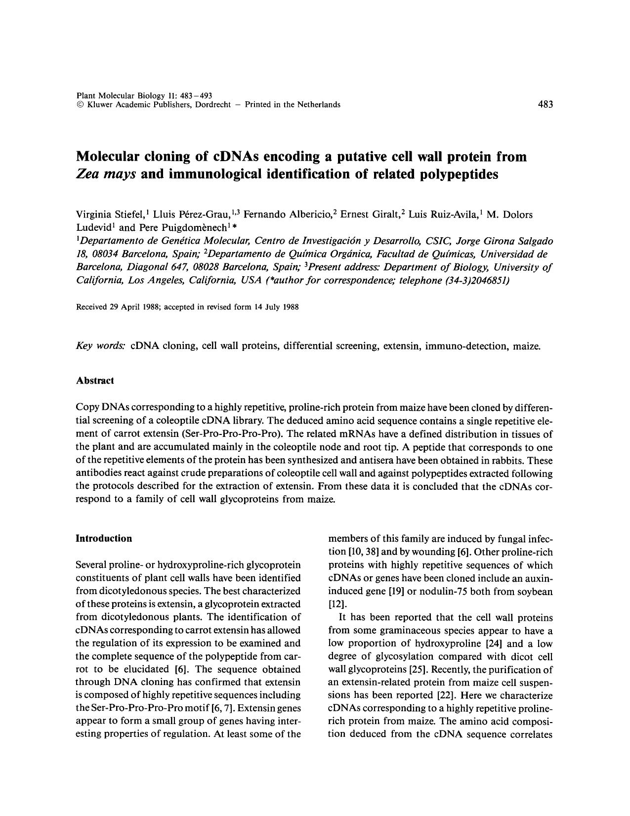 Molecular cloning of cDNAs encoding a putative cell wall protein from <Emphasis Type="Italic">Zea mays<Emphasis> and immunological identification of related polypeptides by Unknown