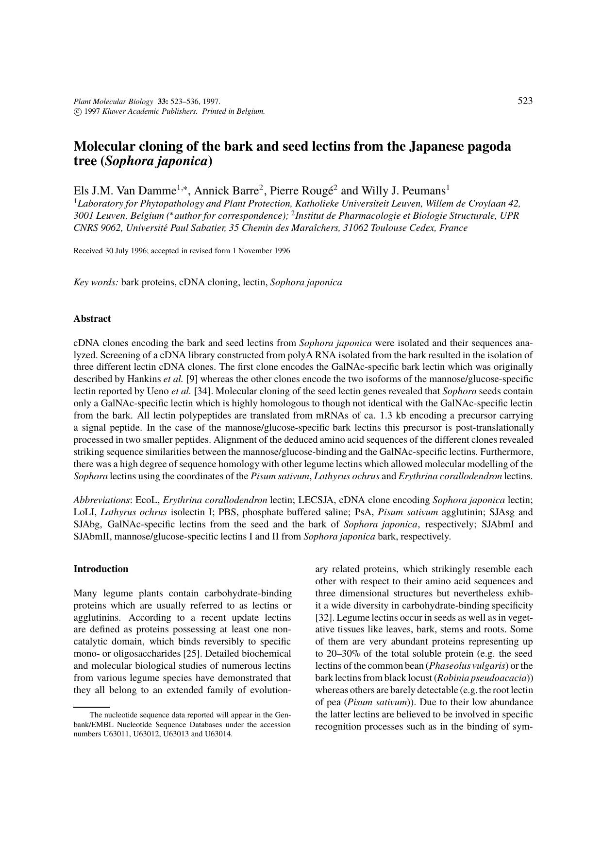 Molecular cloning of the bark and seed lectins from the Japanese pagoda tree (Sophora japonica) by Unknown