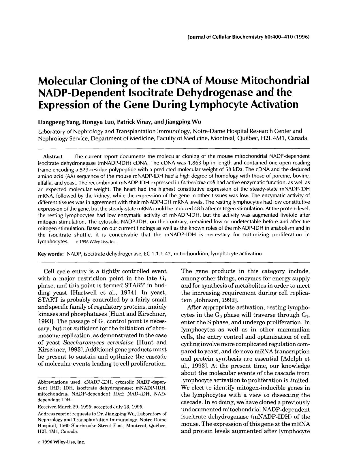Molecular cloning of the cDNA of mouse mitochondrial NADP-dependent isocitrate dehydrogenase and the expression of the gene during lymphocyte activation by Unknown