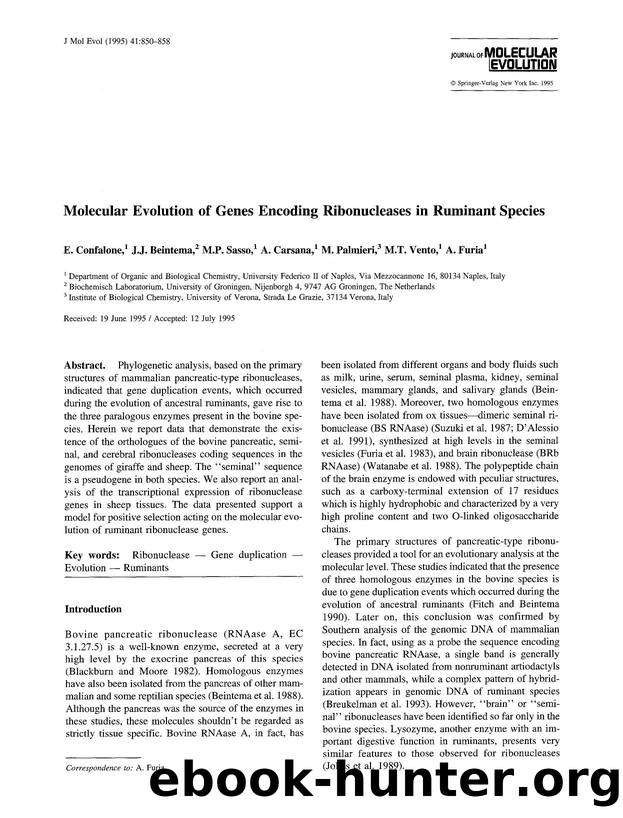 Molecular evolution of genes encoding ribonucleases in ruminant species by Unknown