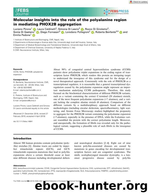 Molecular insights into the role of the polyalanine region in mediating PHOX2B aggregation by Unknown