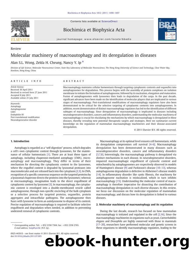 Molecular machinery of macroautophagy and its deregulation in diseases by Alan S.L. Wong & Zelda H. Cheung & Nancy Y. Ip