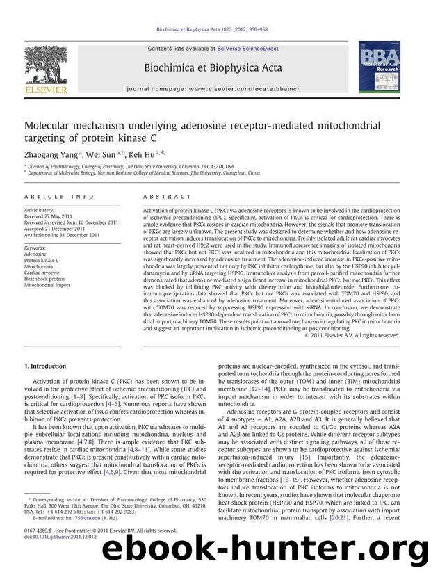 Molecular mechanism underlying adenosine receptor-mediated mitochondrial targeting of protein kinase C by Zhaogang Yang & Wei Sun & Keli Hu