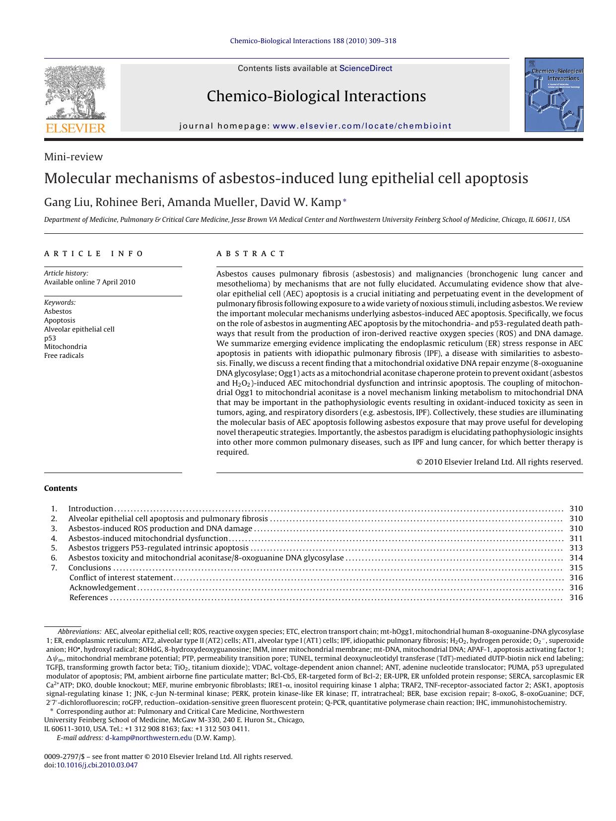 Molecular mechanisms of asbestos-induced lung epithelial cell apoptosis by Gang Liu