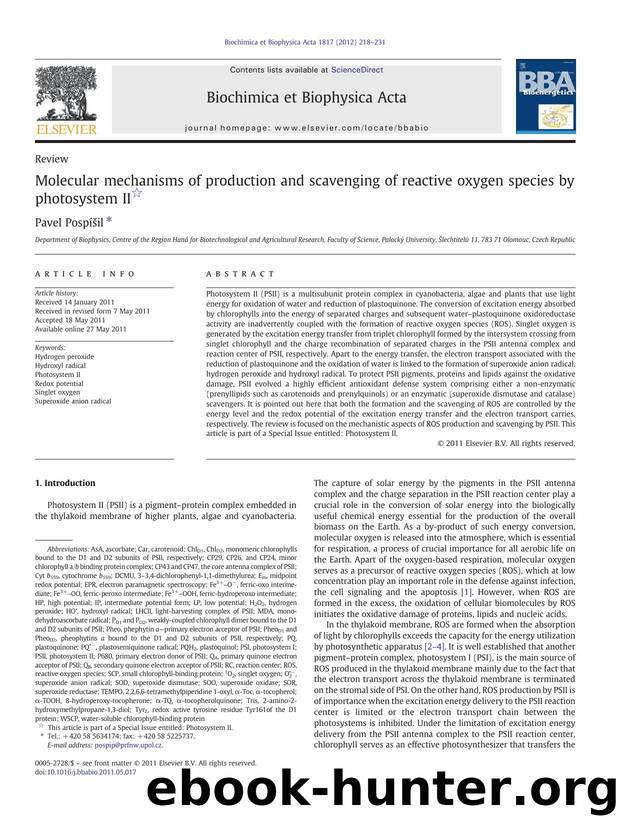 Molecular mechanisms of production and scavenging of reactive oxygen species by photosystem II by Pavel Pospíšil