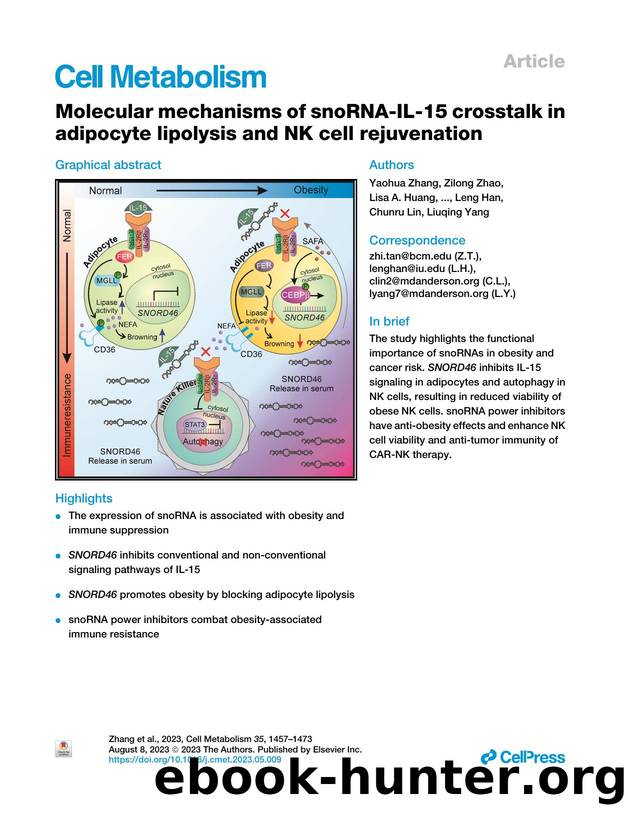 Molecular mechanisms of snoRNA-IL-15 crosstalk in adipocyte lipolysis and NK cell rejuvenation by unknow