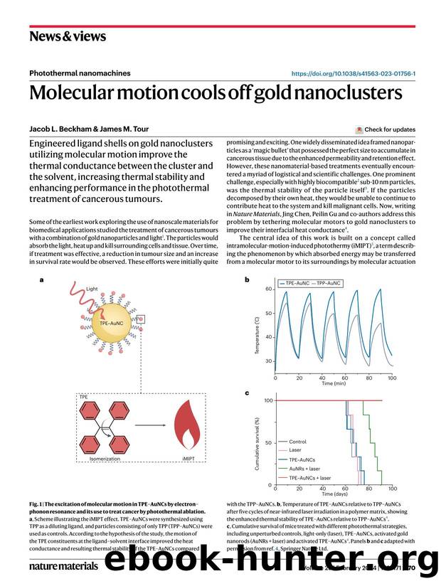 Molecular motion cools off gold nanoclusters by Jacob L. Beckham & James M. Tour