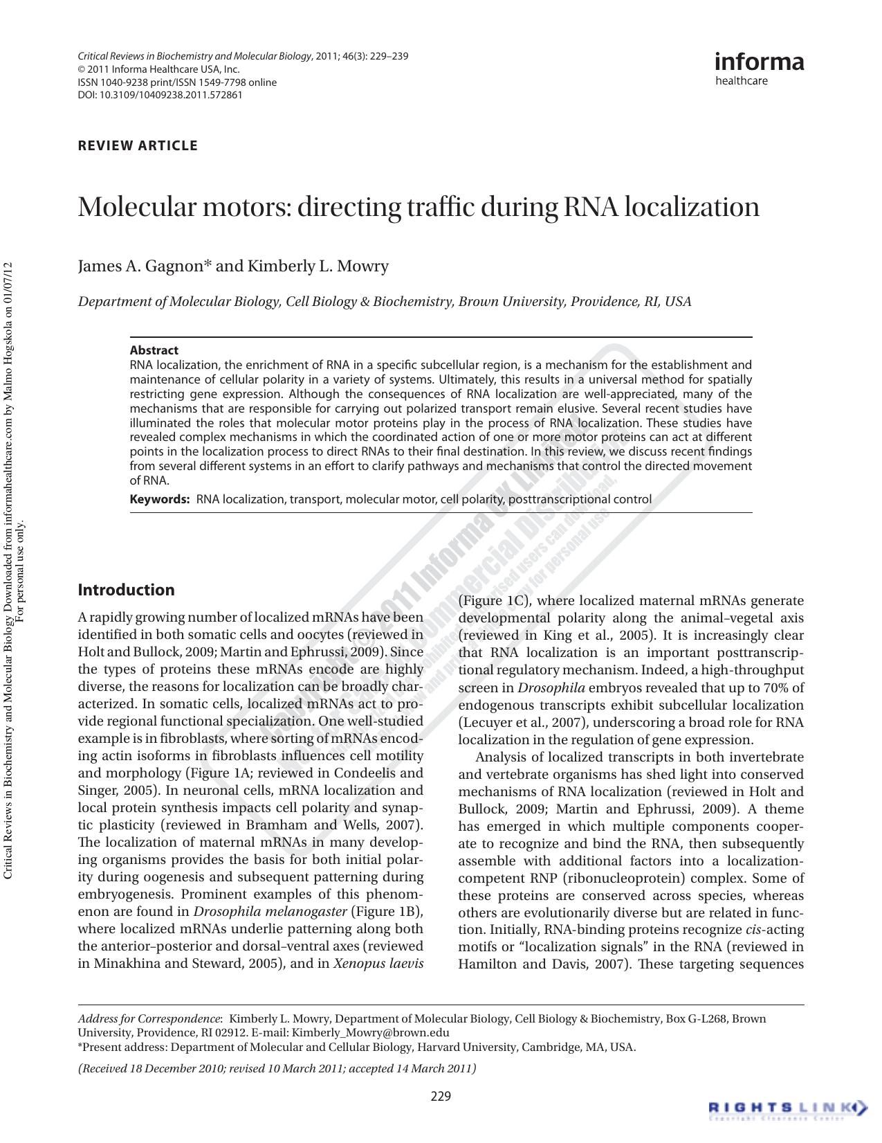 Molecular motors: directing traffic during RNA localization by James A. Gagnon* Kimberly L. MowryKimberly_Mowry@brown.edu