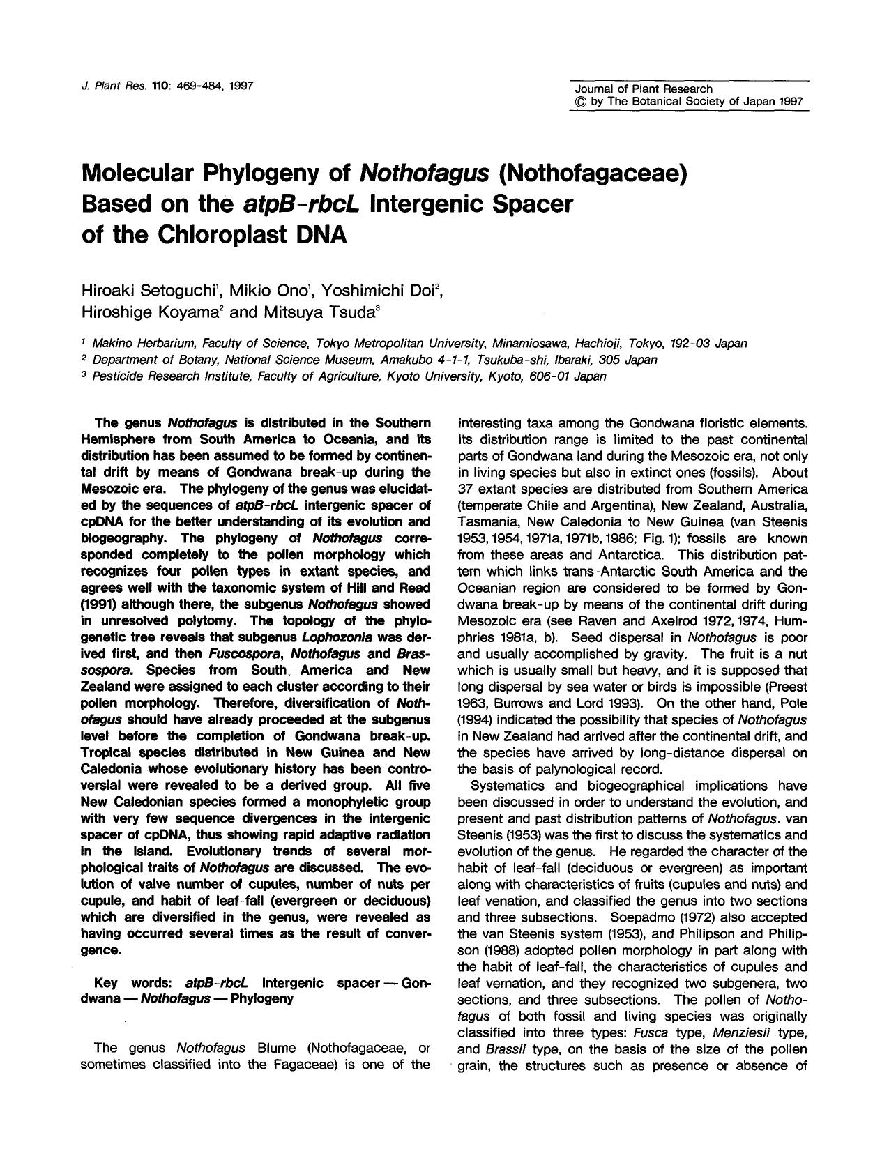 Molecular phylogeny of <Emphasis Type="Italic">Nothofagus <Emphasis> (Nothofagaceae) based on the <Emphasis Type="Italic">atpB-rbcL <Emphasis> intergenic spacer of the chloroplast DNA by Unknown