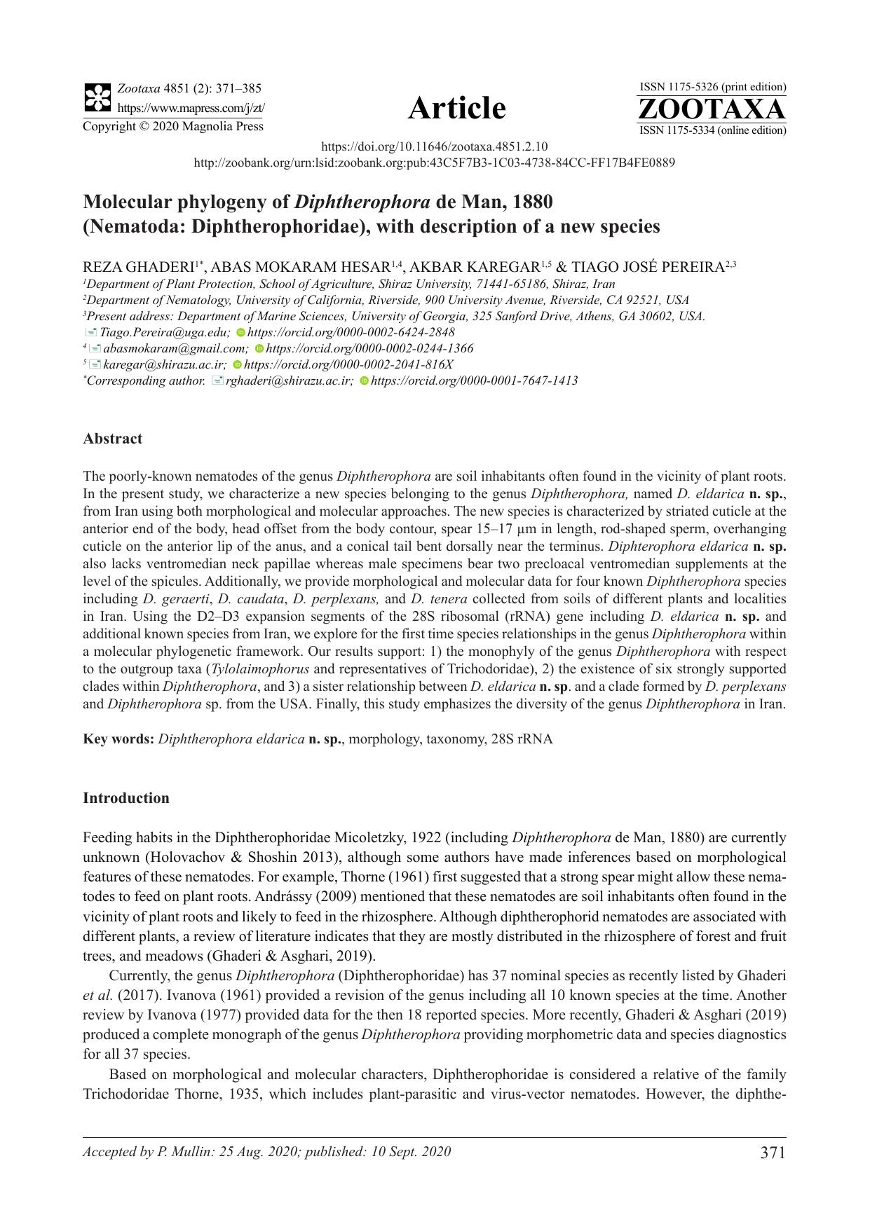 Molecular phylogeny of Diphtherophora de Man, 1880 (Nematoda: Diphtherophoridae), with description of a new species by REZA GHADERI & ABAS MOKARAM HESAR & AKBAR KAREGAR && TIAGO JOSÉ PEREIRA