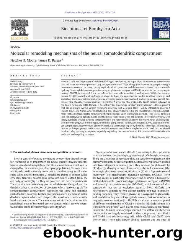 Molecular remodeling mechanisms of the neural somatodendritic compartment by Fletcher B. Moore & James D. Baleja