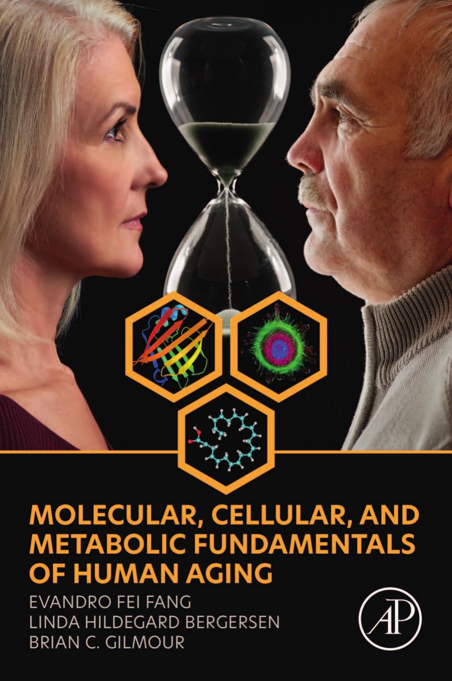 Molecular, Cellular, and Metabolic Fundamentals of Human Aging by Evandro Fei Fang & Linda Hildegard Bergersen & Brian C. Gilmour