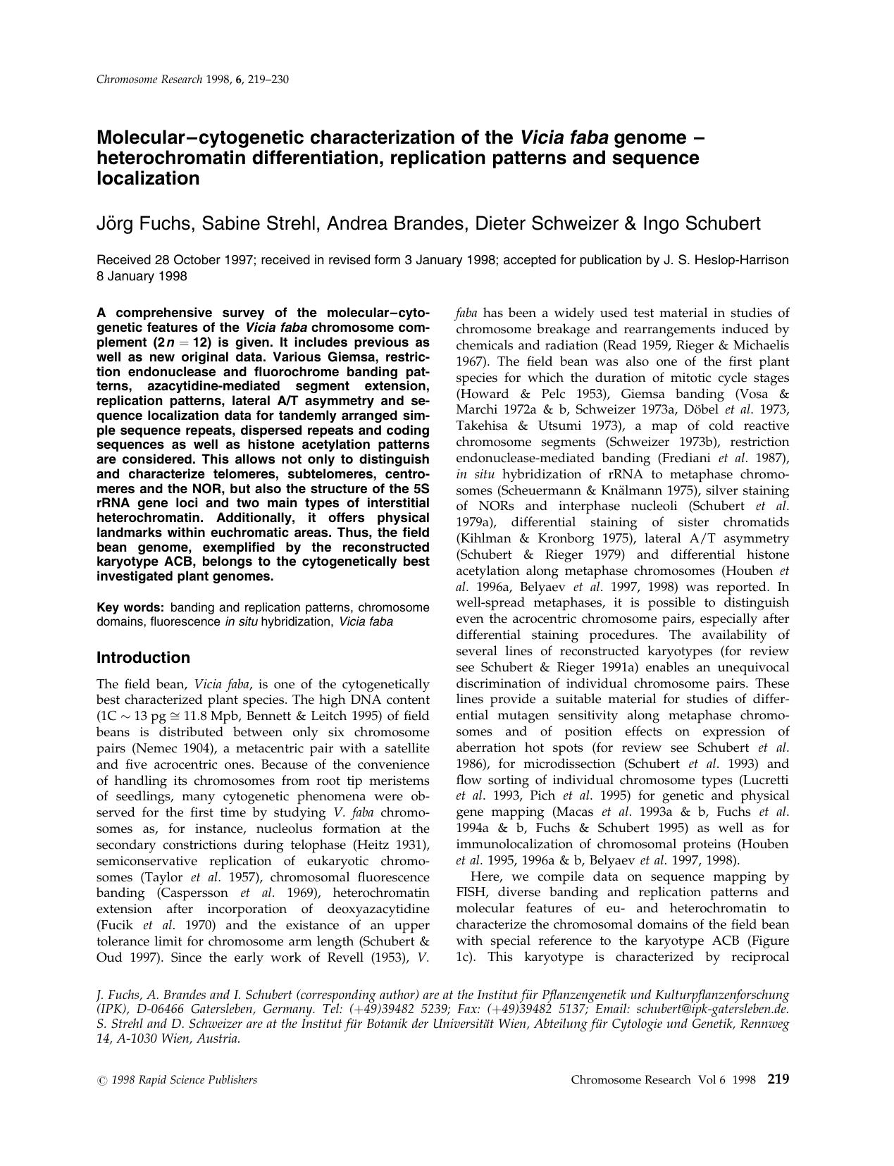 Molecular--cytogenetic characterization of the Vicia faba genome -- heterochromatin differentiation, replication patterns and sequence localization by Unknown