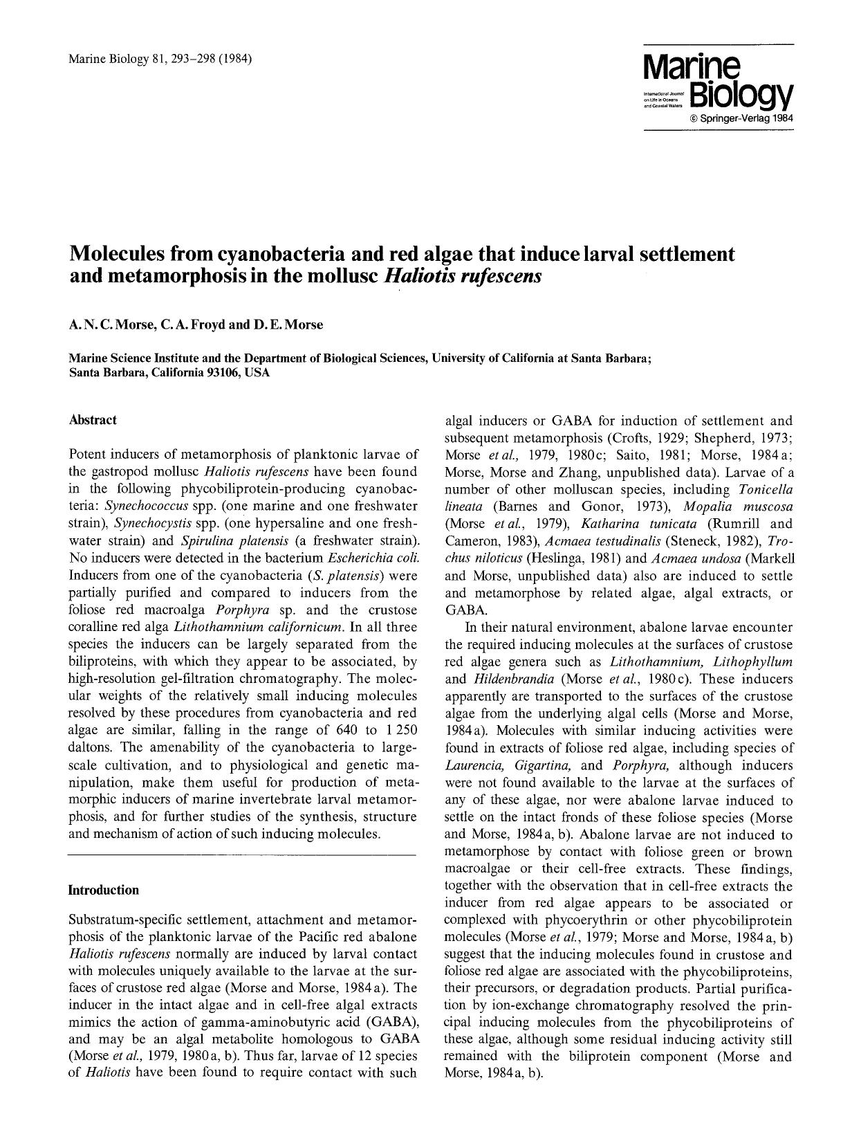 Molecules from cyanobacteria and red algae that induce larval settlement and metamorphosis in the mollusc <Emphasis Type="Italic">Haliotis rufescens<Emphasis> by Unknown
