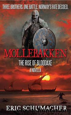 Mollebakken by Eric Schumacher