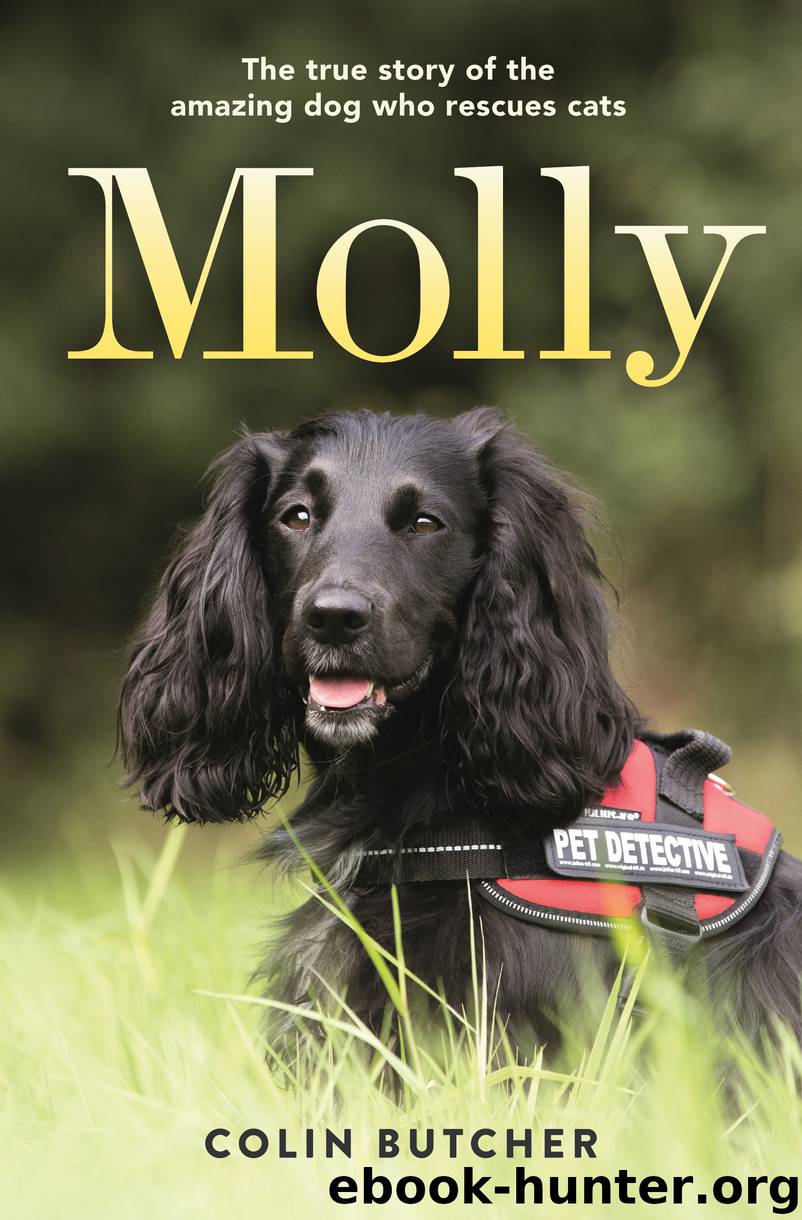 Molly by Colin Butcher