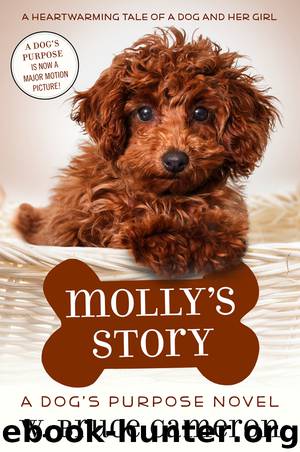 Molly's Story by W. Bruce Cameron