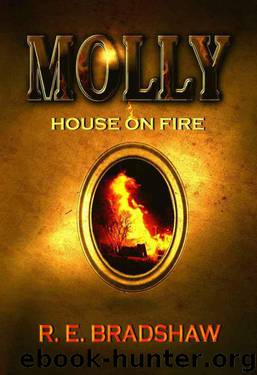 Molly: House on Fire by R.E. Bradshaw