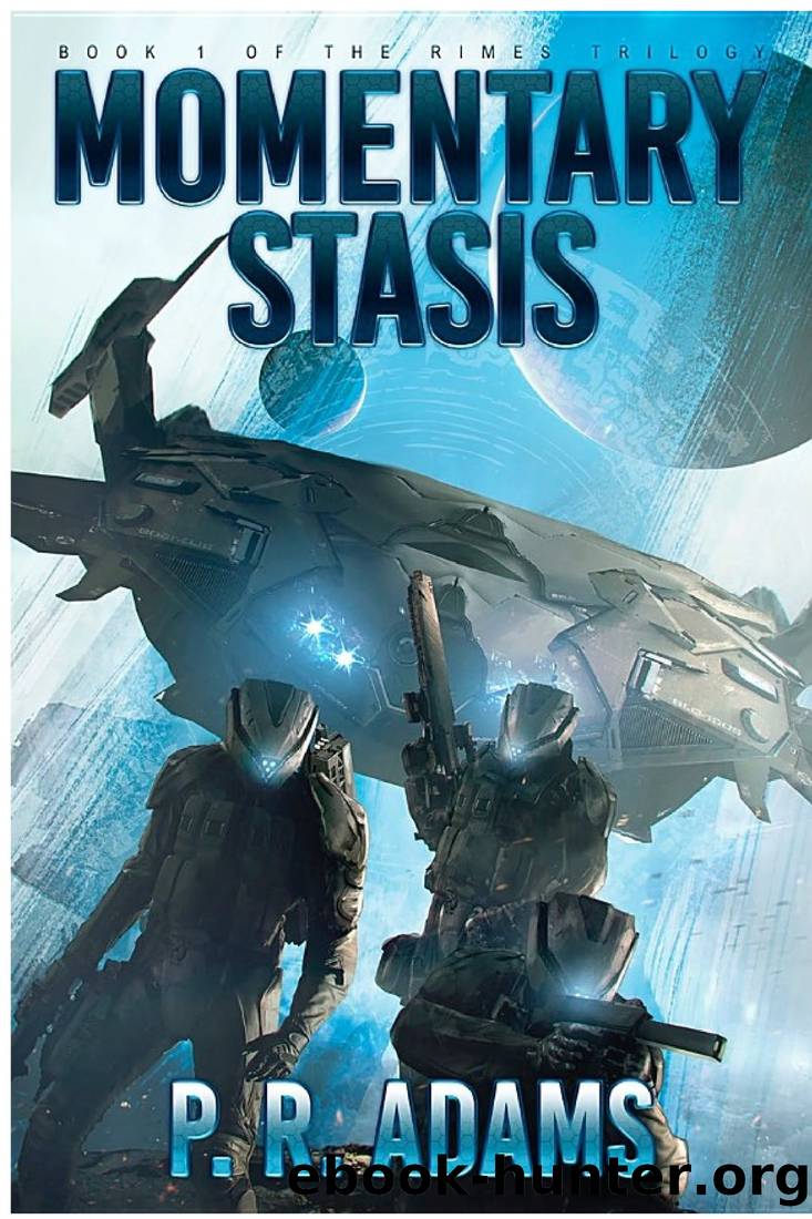 Momentary Stasis by P. R. Adams
