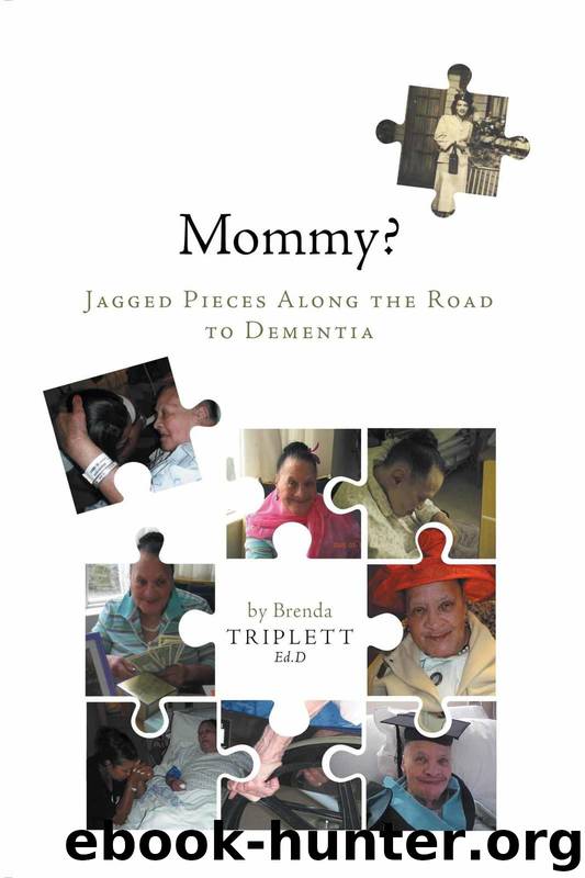 Mommy?: Jagged Pieces Along the Road to Dementia by Dr. Brenda Triplett
