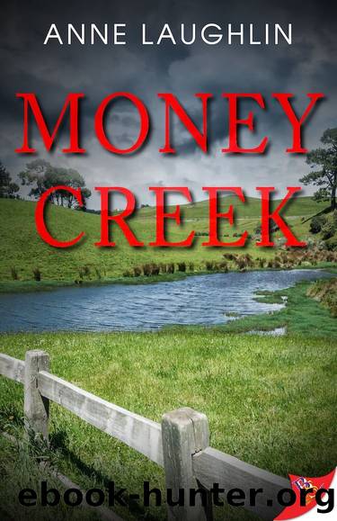 Money Creek by Anne Laughlin